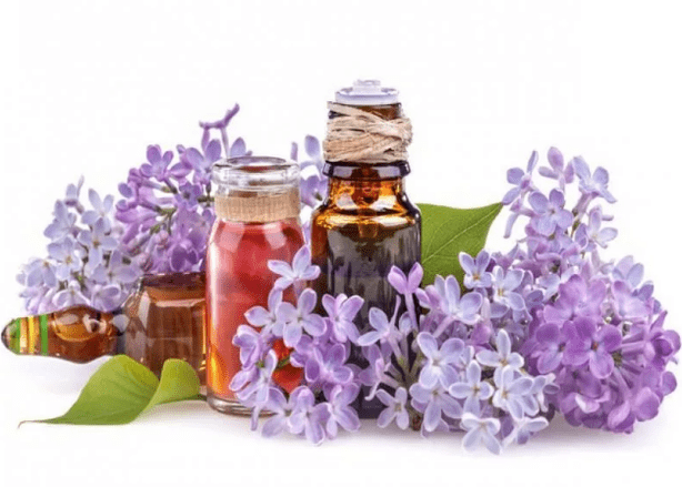 A infusión de lila